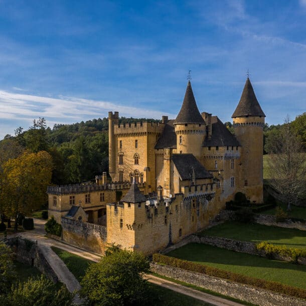 Chateau de Puymartin
