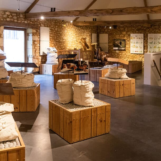 Musée de la noix du Domaine de Vielcroze