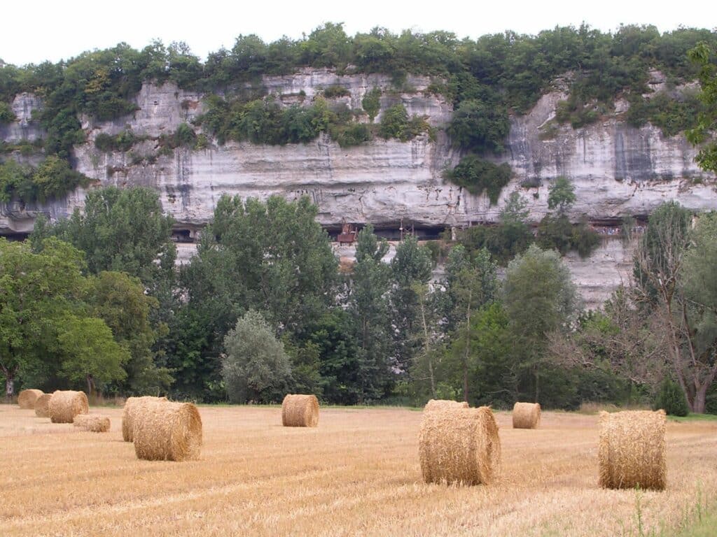 La falaise calcaire de la Roque Saint-Christophe et ses terrasses troglodytiques au-dessus de la vallée de la Vézère