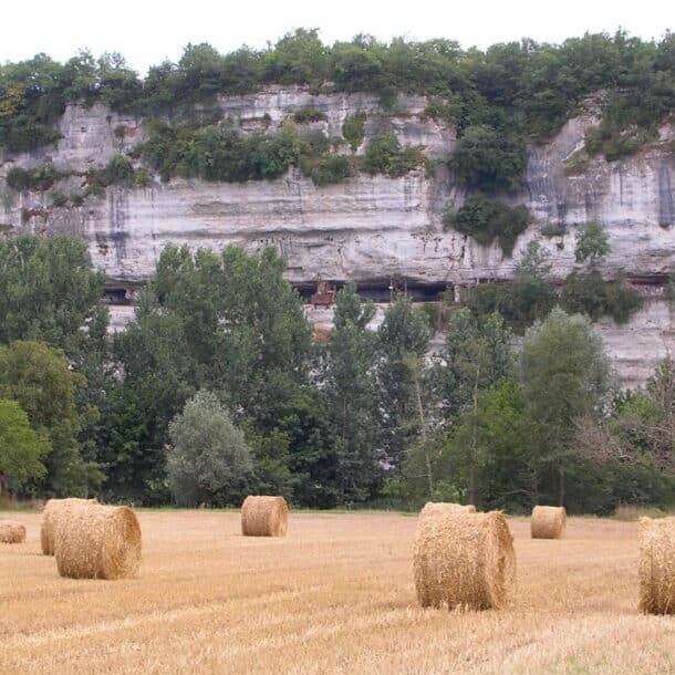 La falaise calcaire de la Roque Saint-Christophe et ses terrasses troglodytiques au-dessus de la vallée de la Vézère