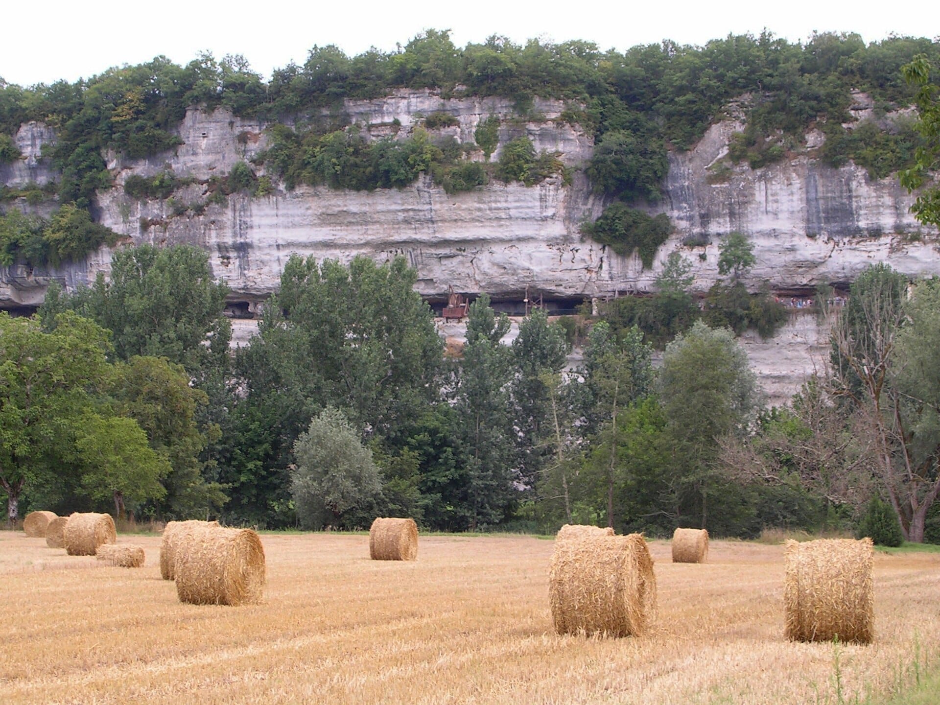 La falaise calcaire de la Roque Saint-Christophe et ses terrasses troglodytiques au-dessus de la vallée de la Vézère
